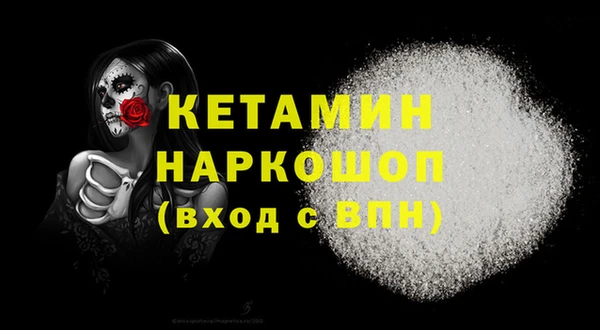 стаф Балахна