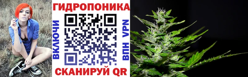 Бошки Шишки AK-47  наркотики  OMG   Иноземцево 